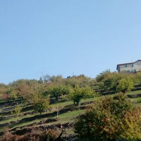 Hill House Valpolicella Verona 公寓